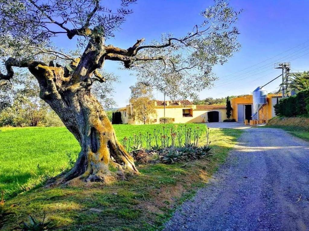 Вілла Rural Mas Hortus Жерона Екстер'єр фото